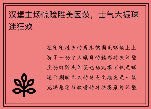 汉堡主场惊险胜美因茨，士气大振球迷狂欢