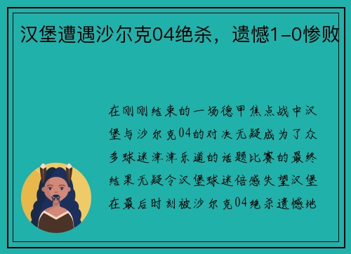 汉堡遭遇沙尔克04绝杀，遗憾1-0惨败