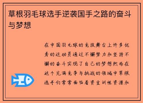 草根羽毛球选手逆袭国手之路的奋斗与梦想